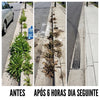 Healrize Herbicida de Acao Dupla