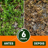 Healrize Herbicida de Acao Dupla