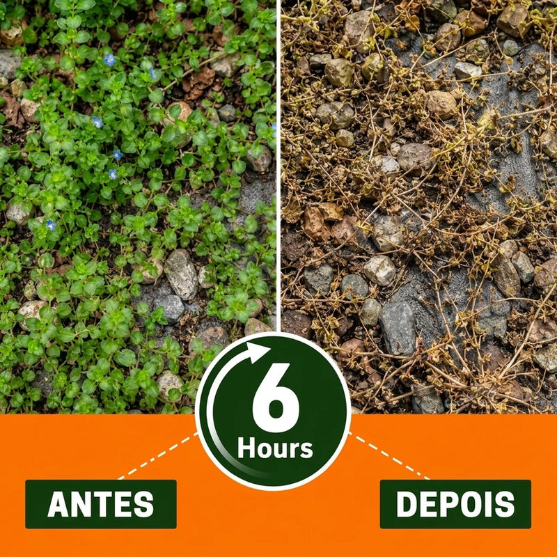 Healrize Herbicida de Acao Dupla